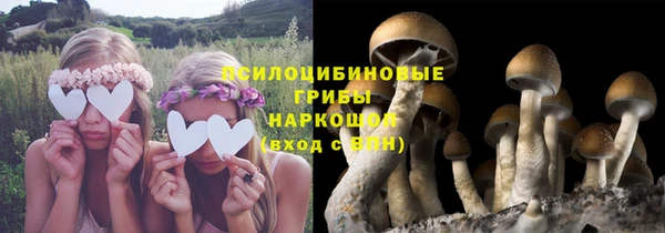 бутират Магас