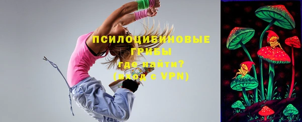 мдпв Магадан