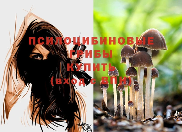 mdma Великий Новгород