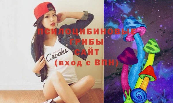 мдпв Магадан