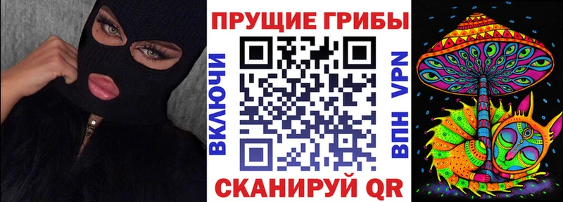 Псилоцибиновые грибы Psilocybine cubensis Гдов